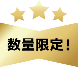 数量限定!
